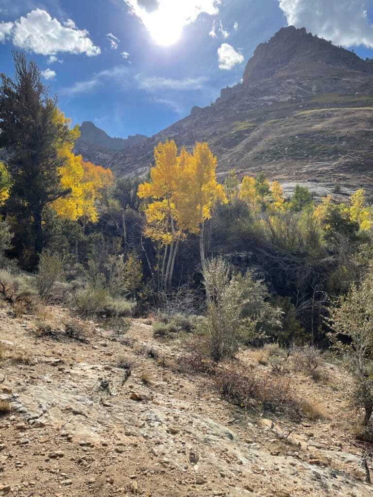 Thomas Canyon Trail Fall Color